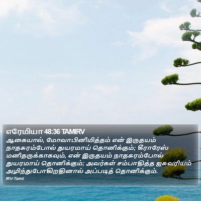 எரேமியா 48:36 TAMIRV Bible Verse Image