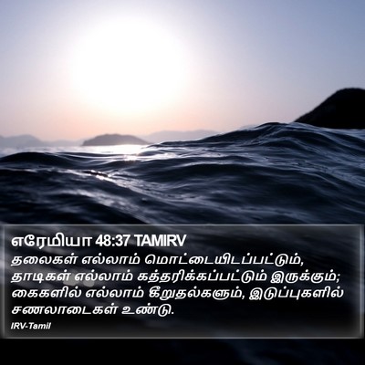 எரேமியா 48:37 TAMIRV Bible Verse Image