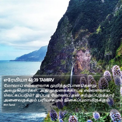 எரேமியா 48:39 TAMIRV Bible Verse Image