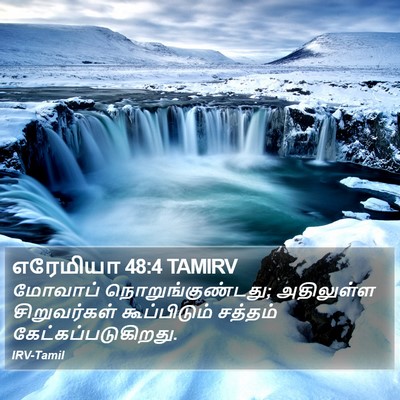 எரேமியா 48:4 TAMIRV Bible Verse Image