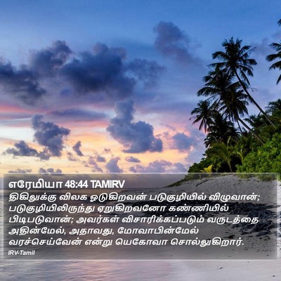 எரேமியா 48:44 TAMIRV Bible Verse Image