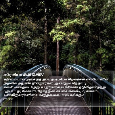 எரேமியா 48:45 TAMIRV Bible Verse Image