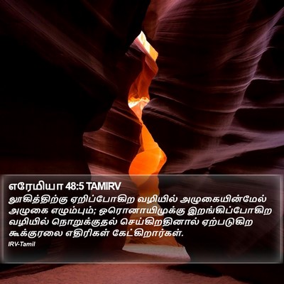 எரேமியா 48:5 TAMIRV Bible Verse Image