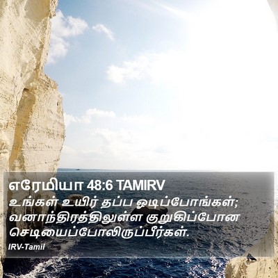 எரேமியா 48:6 TAMIRV Bible Verse Image