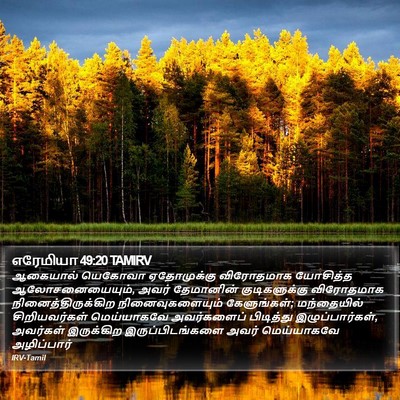 எரேமியா 49:20 TAMIRV Bible Verse Image