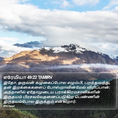 எரேமியா 49:22 TAMIRV Bible Verse Image