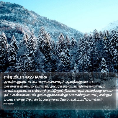 எரேமியா 49:29 TAMIRV Bible Verse Image