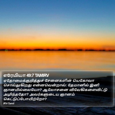 எரேமியா 49:7 TAMIRV Bible Verse Image