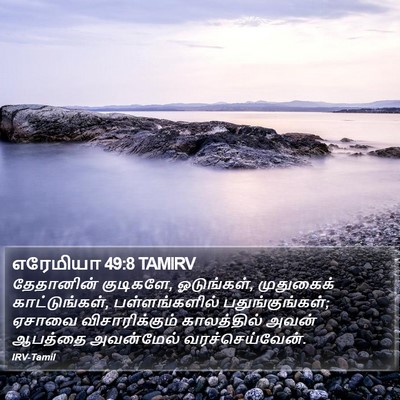 எரேமியா 49:8 TAMIRV Bible Verse Image