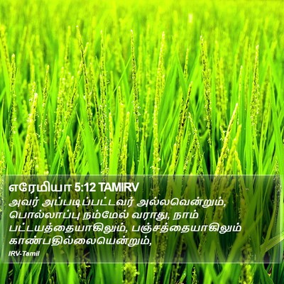 எரேமியா 5:12 TAMIRV Bible Verse Image