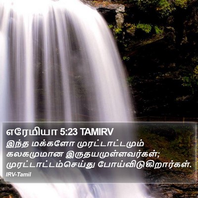 எரேமியா 5:23 TAMIRV Bible Verse Image
