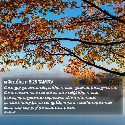 எரேமியா 5:28 TAMIRV Bible Verse Image