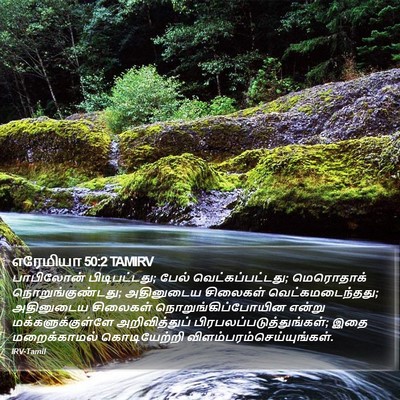 எரேமியா 50:2 TAMIRV Bible Verse Image