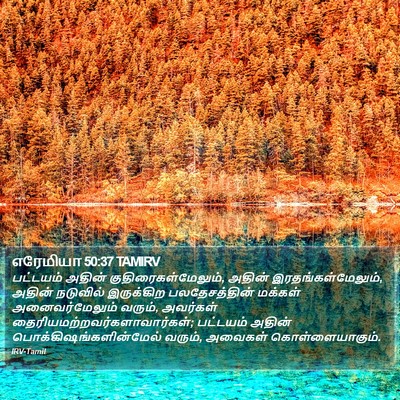 எரேமியா 50:37 TAMIRV Bible Verse Image