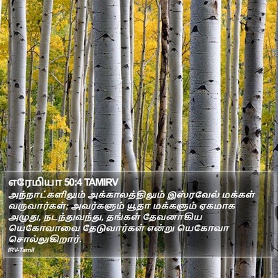 எரேமியா 50:4 TAMIRV Bible Verse Image