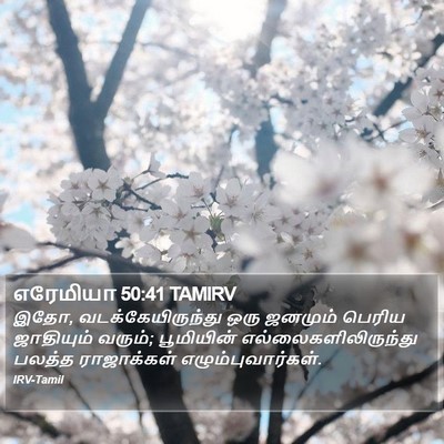 எரேமியா 50:41 TAMIRV Bible Verse Image
