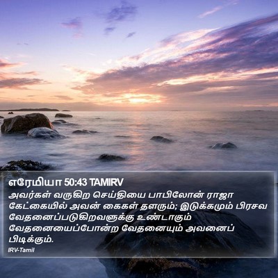 எரேமியா 50:43 TAMIRV Bible Verse Image