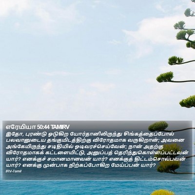 எரேமியா 50:44 TAMIRV Bible Verse Image