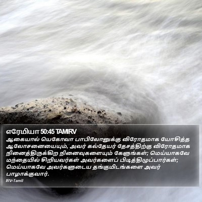 எரேமியா 50:45 TAMIRV Bible Verse Image