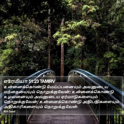 எரேமியா 51:23 TAMIRV Bible Verse Image