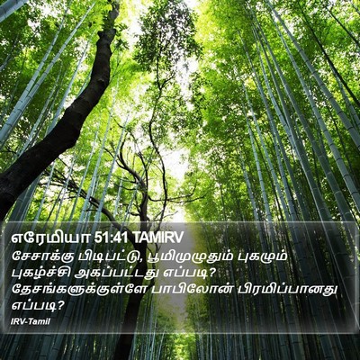 எரேமியா 51:41 TAMIRV Bible Verse Image