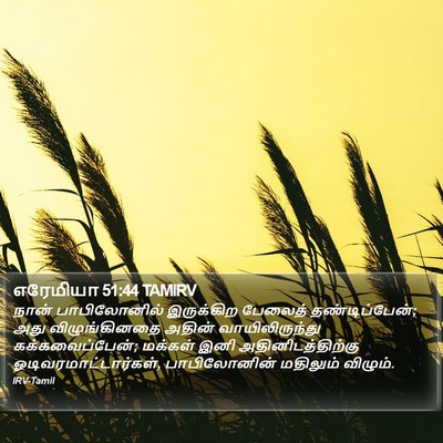 எரேமியா 51:44 TAMIRV Bible Verse Image