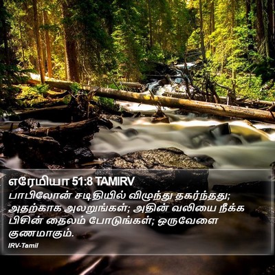 எரேமியா 51:8 TAMIRV Bible Verse Image