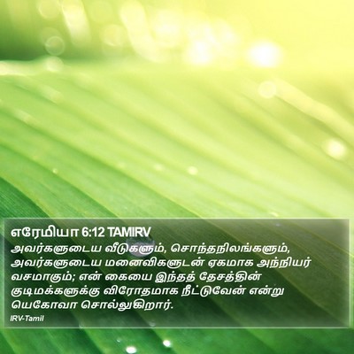 எரேமியா 6:12 TAMIRV Bible Verse Image