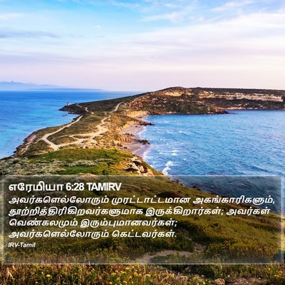எரேமியா 6:28 TAMIRV Bible Verse Image