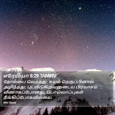 எரேமியா 6:29 TAMIRV Bible Verse Image