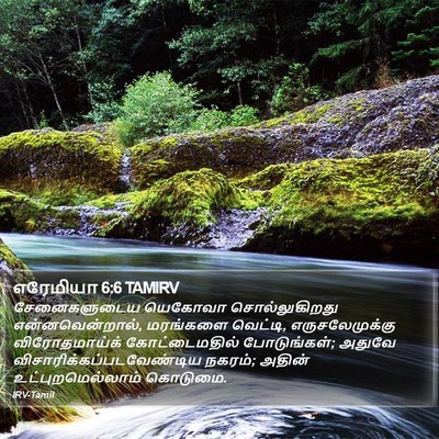 எரேமியா 6:6 TAMIRV Bible Verse Image