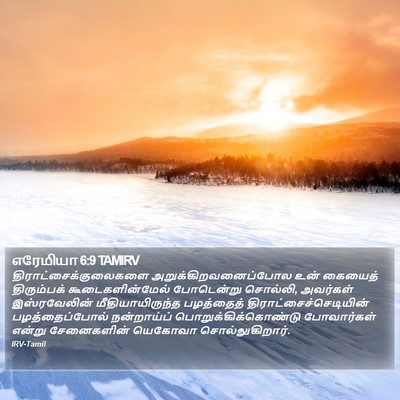 எரேமியா 6:9 TAMIRV Bible Verse Image