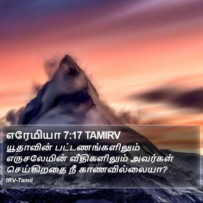 எரேமியா 7:17 TAMIRV Bible Verse Image