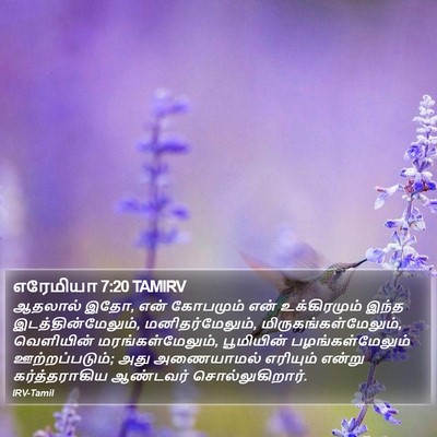 எரேமியா 7:20 TAMIRV Bible Verse Image