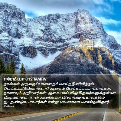 எரேமியா 8:12 TAMIRV Bible Verse Image