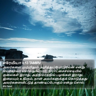 எரேமியா 8:13 TAMIRV Bible Verse Image