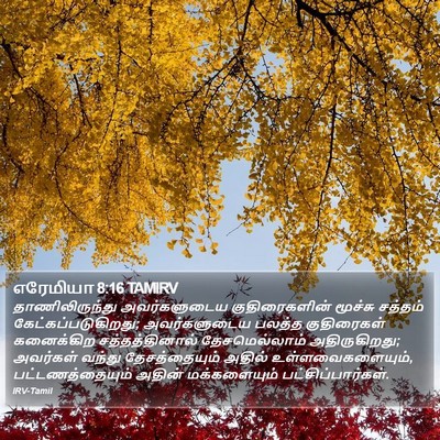 எரேமியா 8:16 TAMIRV Bible Verse Image