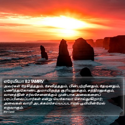 எரேமியா 8:2 TAMIRV Bible Verse Image