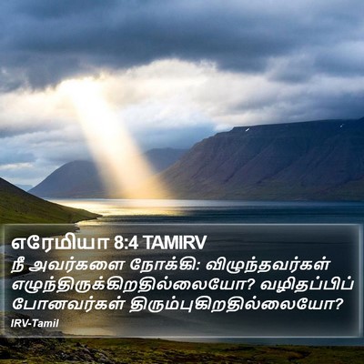 எரேமியா 8:4 TAMIRV Bible Verse Image