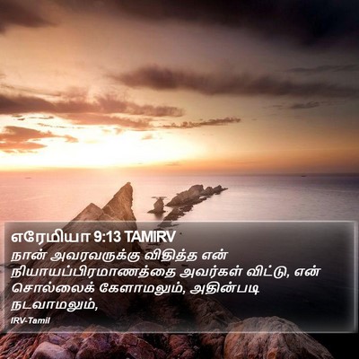எரேமியா 9:13 TAMIRV Bible Verse Image