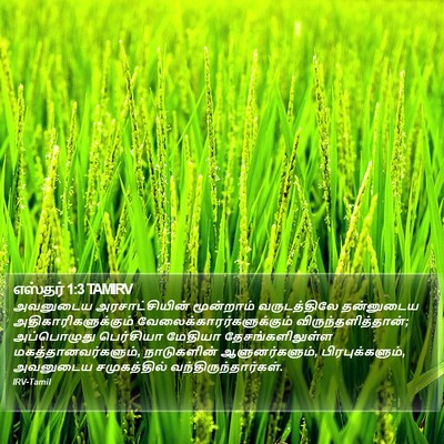 எஸ்தர் 1:3 TAMIRV Bible Verse Image