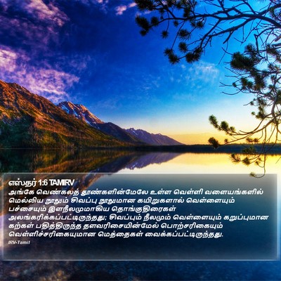 எஸ்தர் 1:6 TAMIRV Bible Verse Image