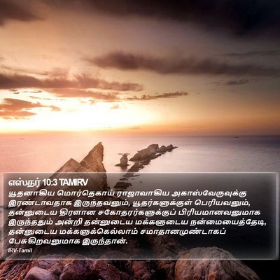 எஸ்தர் 10:3 TAMIRV Bible Verse Image