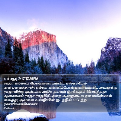 எஸ்தர் 2:17 TAMIRV Bible Verse Image