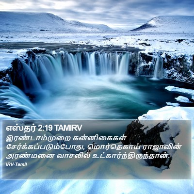 எஸ்தர் 2:19 TAMIRV Bible Verse Image