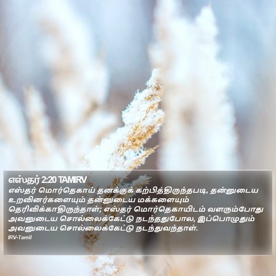எஸ்தர் 2:20 TAMIRV Bible Verse Image