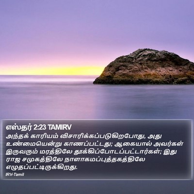 எஸ்தர் 2:23 TAMIRV Bible Verse Image