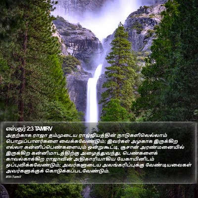 எஸ்தர் 2:3 TAMIRV Bible Verse Image