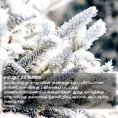 எஸ்தர் 2:4 TAMIRV Bible Verse Image