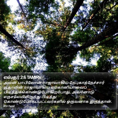 எஸ்தர் 2:6 TAMIRV Bible Verse Image